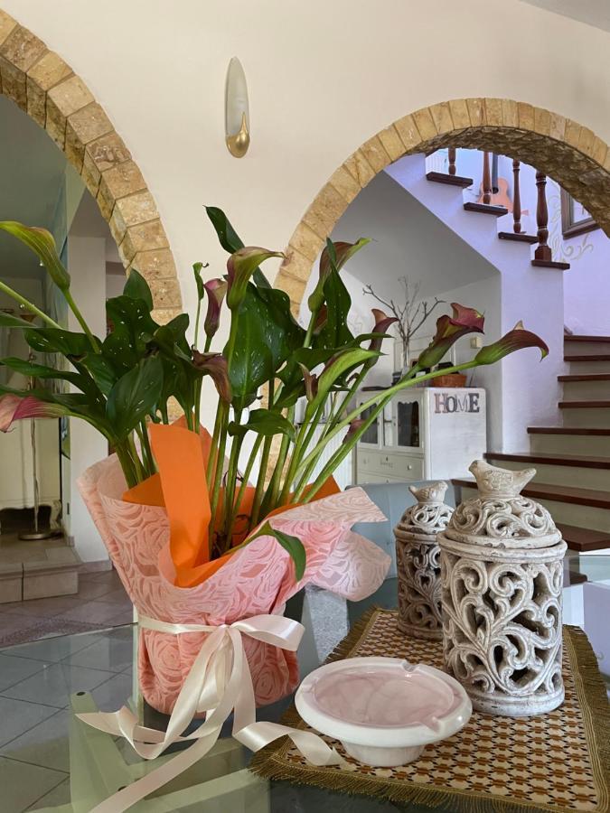 Vintage Home Nikiti  Extérieur photo